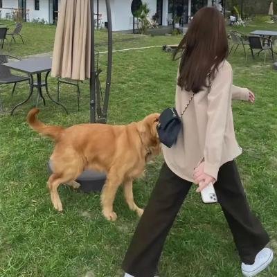 周六夜现场 中国版